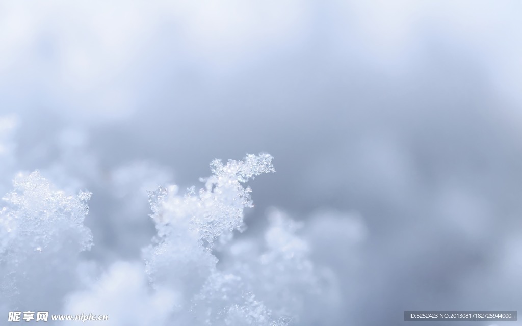 晶莹的雪花