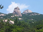 山景