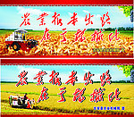 现代农业
