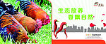 企业宣传海报