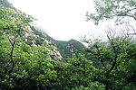 泰山