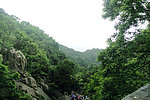 泰山