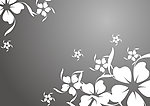 时尚花纹
