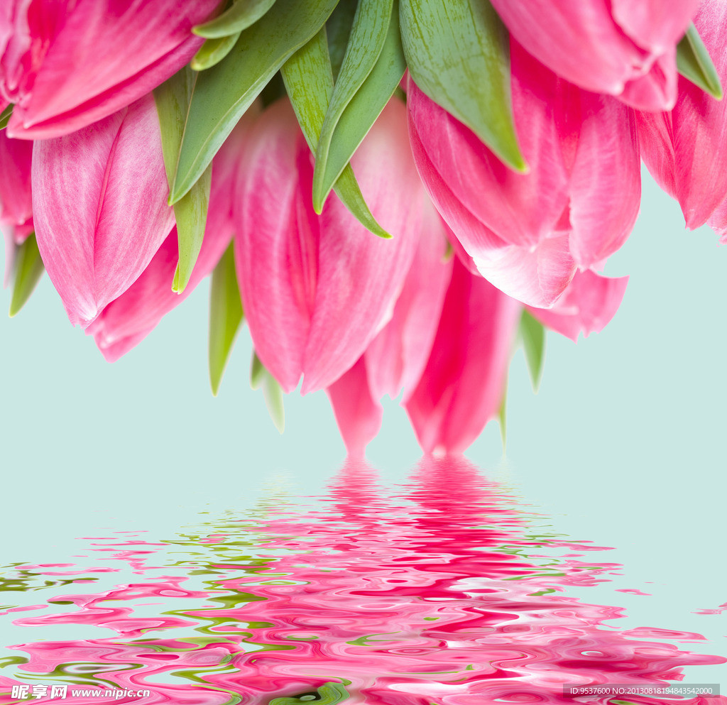 鲜花倒影
