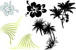花纹