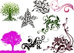 花纹