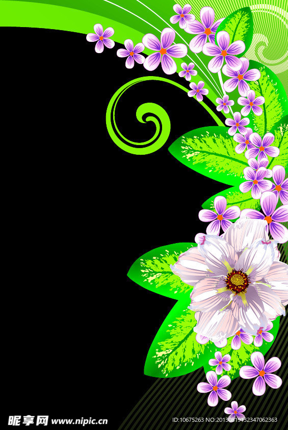 花纹