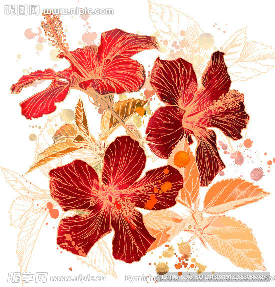 花纹