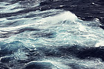 大海