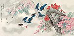 杜鹃