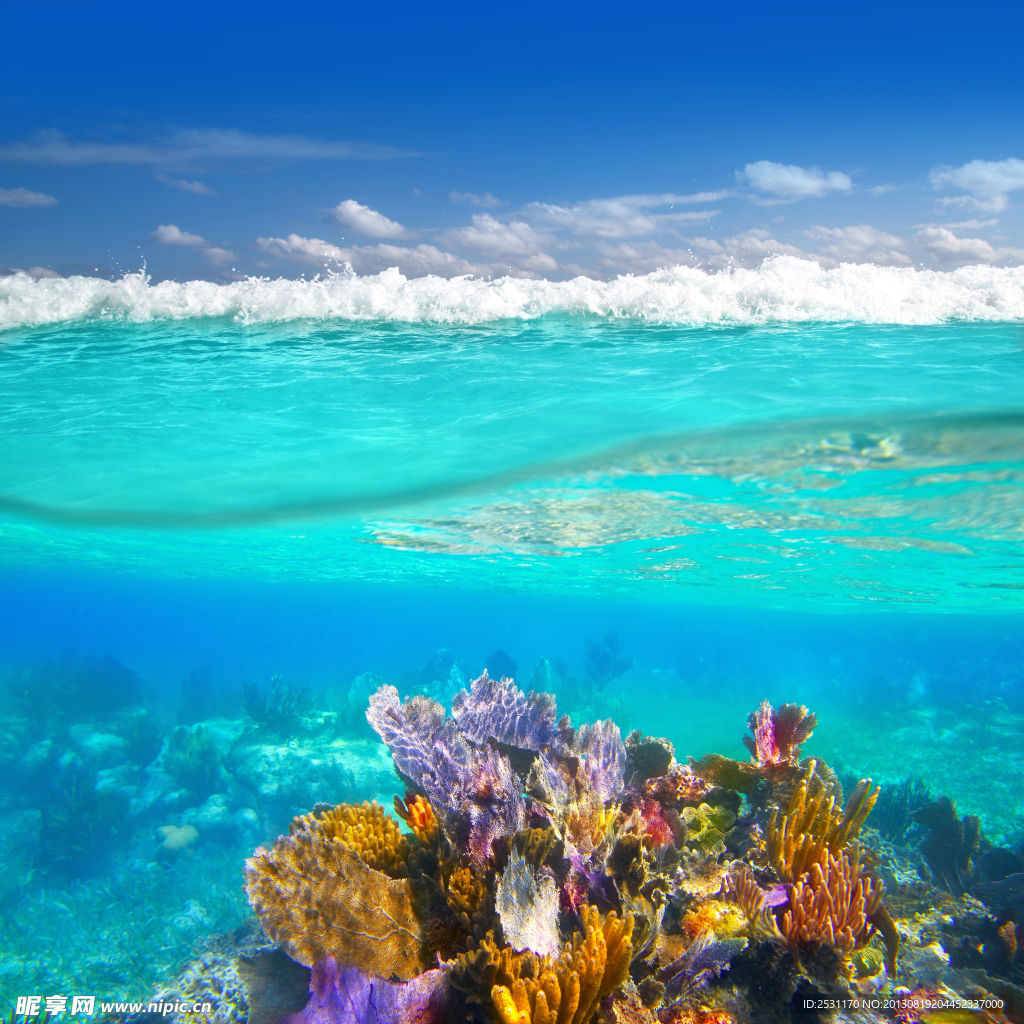 海底世界