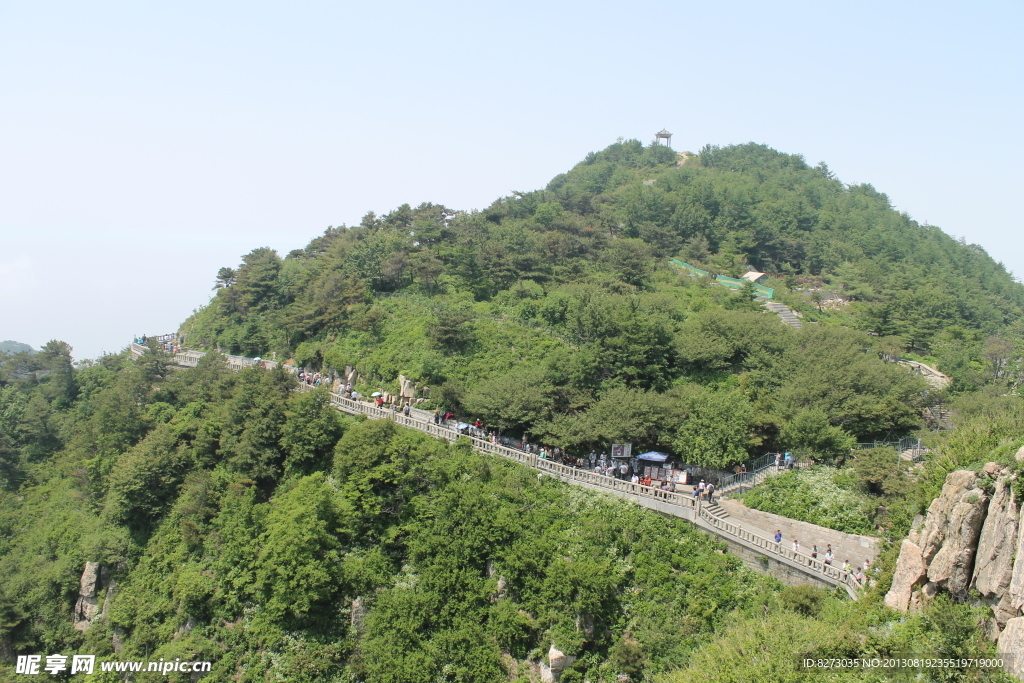 泰山