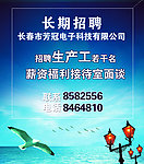 招聘海报