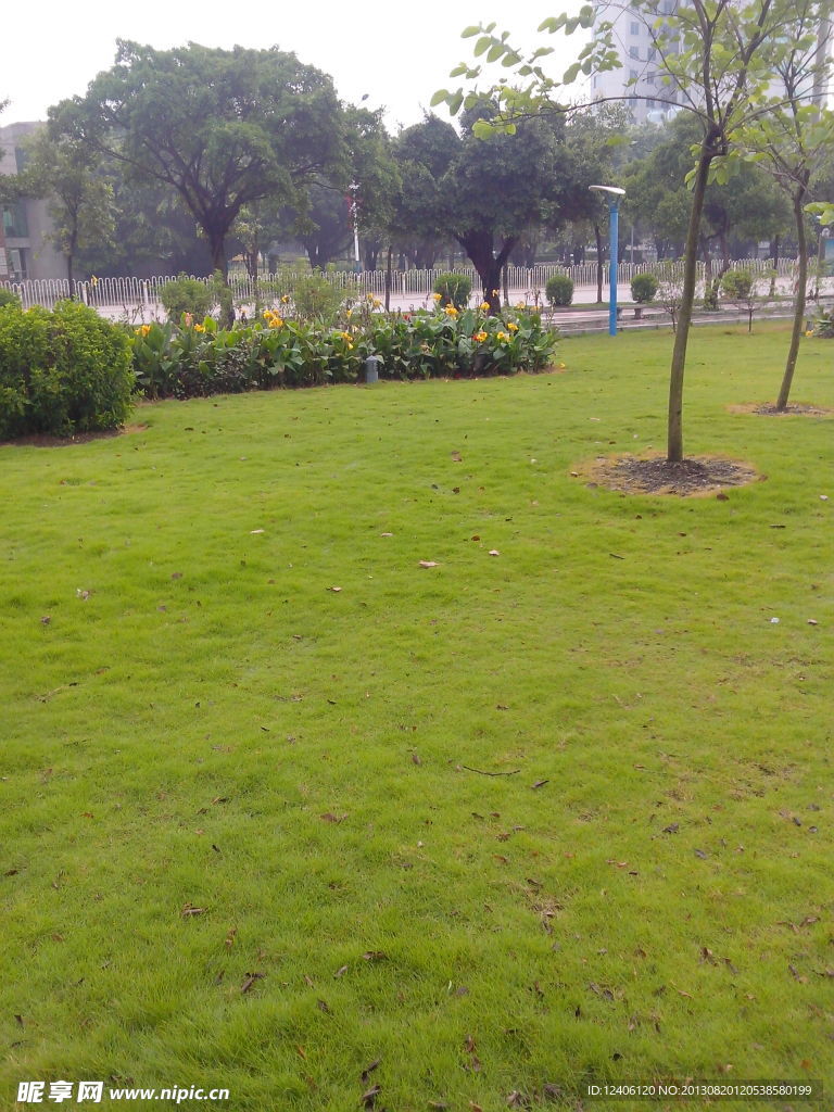 城市绿化