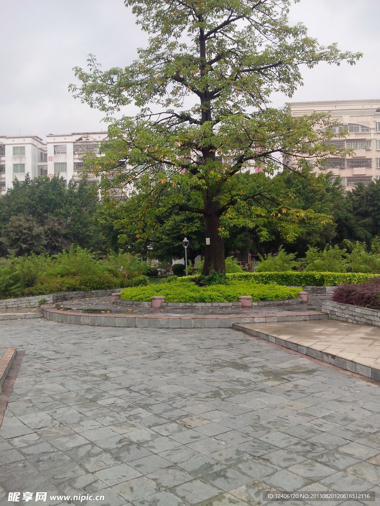 城市绿化