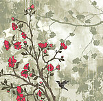 花鸟背景