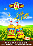 植物油 菜籽油