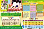 东方金子塔宣传单