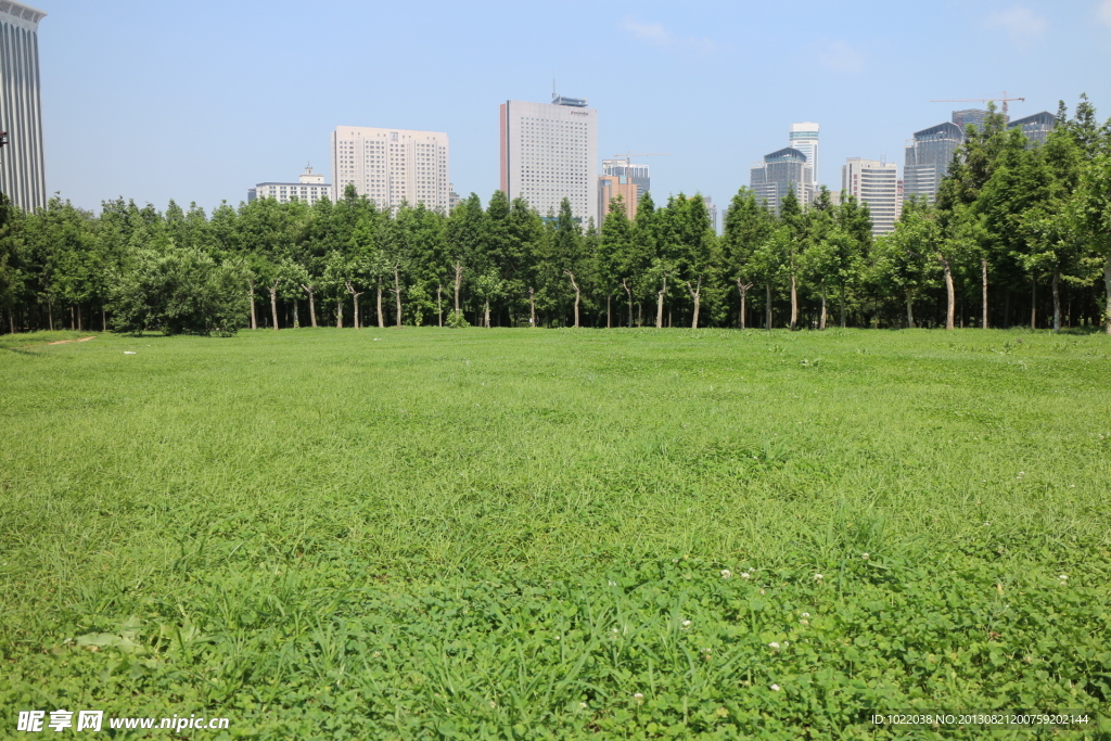 绿地 城市
