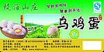 镜泊山庄 乌鸡蛋