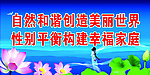 性别平衡 宣传海报