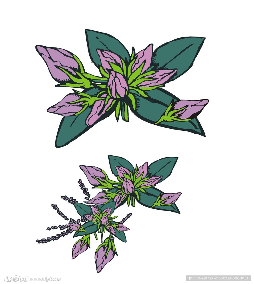 薰衣草