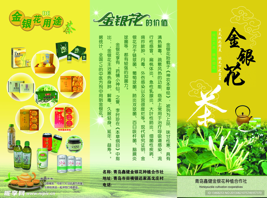 金银花宣传折页