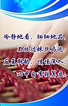 财务 铁算盘