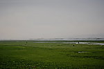 青岛记录