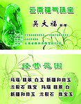 翡翠名片