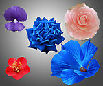 鲜花