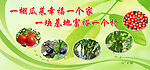 农村大棚蔬菜海报