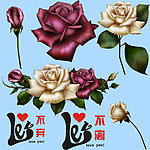 爱情素材