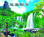 迎客松