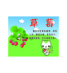 草莓海报