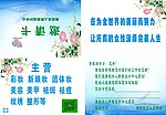 邀请卡