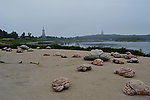 青岛景观