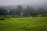 青岛景观