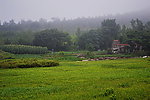 青岛景观