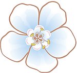 花边