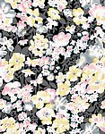 面料 墙纸 花纹
