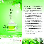 茶叶宣传册