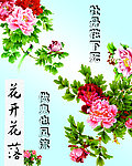 牡丹花