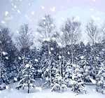下雪