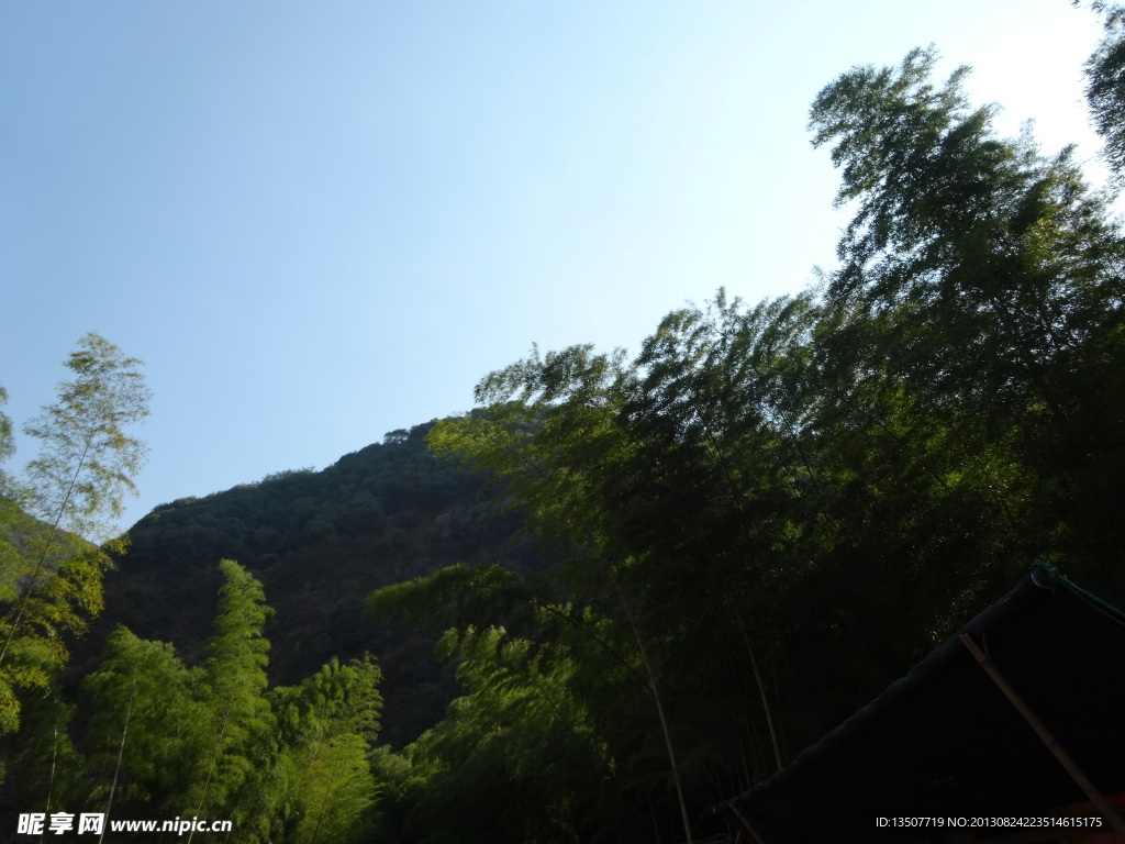 大山 竹子