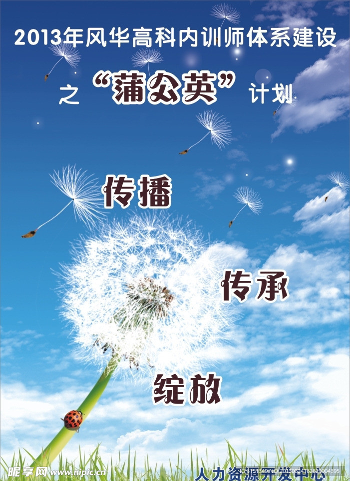 蒲公英