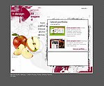 设计整站FLASH