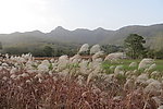 少室山秋色