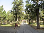 登封中岳庙
