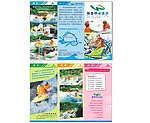 漂流 折页
